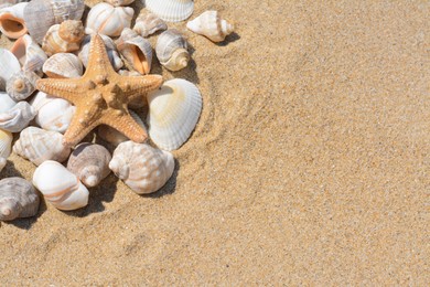 Beautiful starfish and sea shells on sandy beach, space for text
