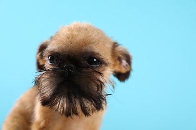 Studio portrait of funny Brussels Griffon dog on color background. Space for text