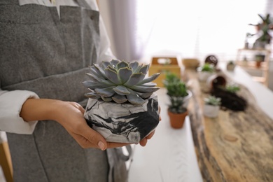 Woman with beautiful potted succulent indoors, closeup