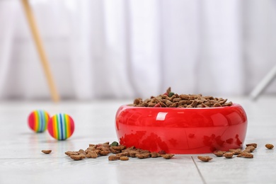 Bowl with food for cat or dog on floor. Pet care
