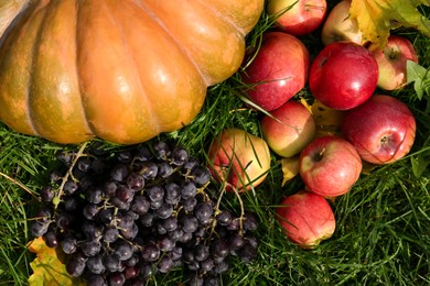 Ripe pumpkin, grapes and apples on green grass, above view. Autumn harvest