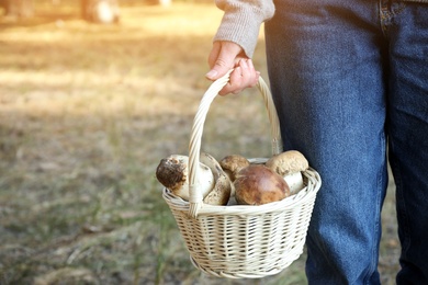 Woman holding wicker basket with fresh wild mushrooms in forest, closeup