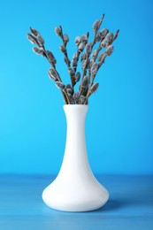 Beautiful bouquet of pussy willow branches on light blue wooden table