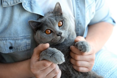 Photo of Man with cute grey cat, closeup view