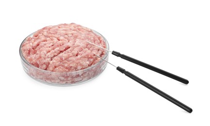 Photo of Petri dish with raw minced cultured meat and dissecting needles on white background