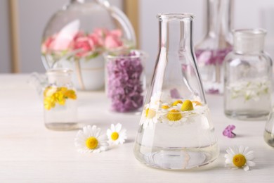 Laboratory glassware with flowers, focus on flask. Extracting essential oil for perfumery and cosmetics
