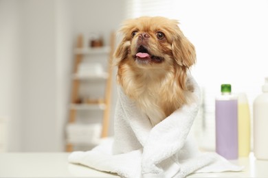 Photo of Cute Pekingese dog with towel in bathroom, space for text. Pet hygiene