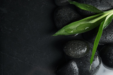Photo of Stones and bamboo sprout in water on dark background, flat lay with space for text. Zen lifestyle