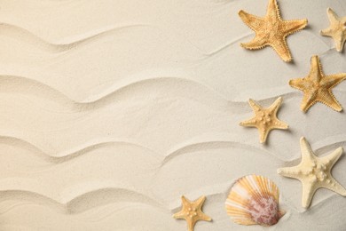 Photo of Beautiful sea stars and shell on sand, flat lay. Space for text