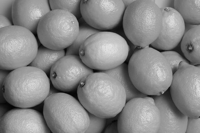 Image of Many fresh lemons as background, top view. Black and white tone 