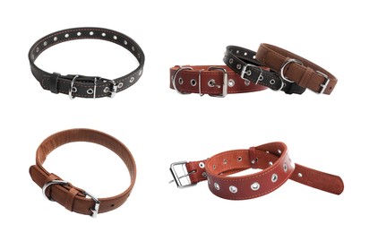 Set with different leather dog collars on white background