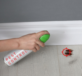 Woman spraying insecticide onto cockroaches with gun target, closeup. Pest control