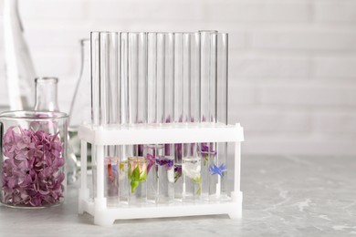 Test tubes with different flowers on light table, space for text. Essential oil extraction