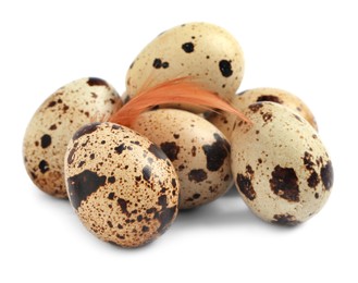 Quail eggs and feather on white background