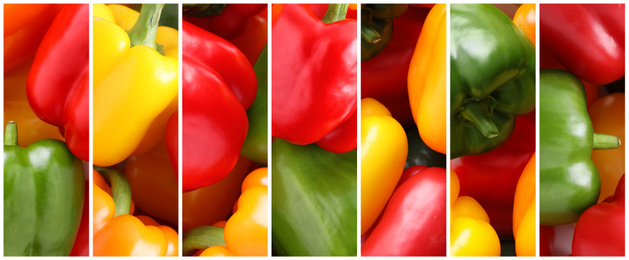 Image of Collage with ripe bell peppers, closeup. Banner design 