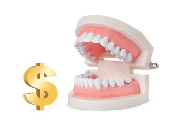 Model of tooth and golden dollar sign on white background. Concept of expensive dental procedures