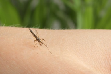 Mosquito on human's skin against blurred green background, closeup