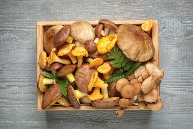 Box with different mushrooms on grey wooden background, top view