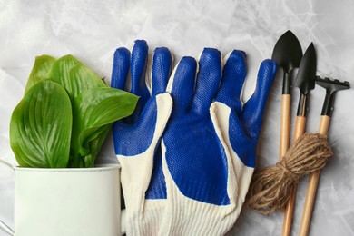 Photo of Gardening gloves, tools and houseplant on light grey marble table, flat lay