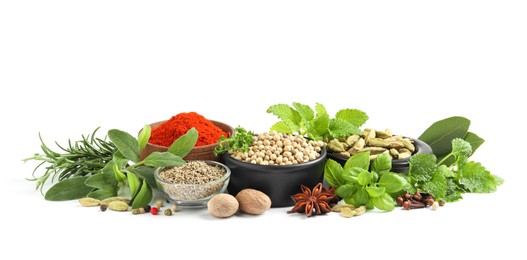 Different fresh herbs with aromatic spices on white background