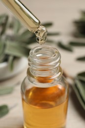Dropping essential sage oil into bottle on blurred background, closeup.