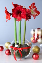 Photo of Beautiful red amaryllis flowers and Christmas decor on white table