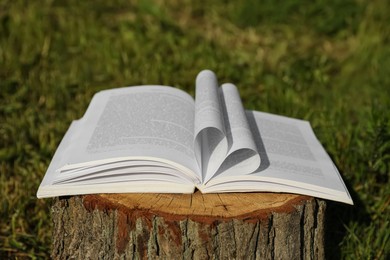Photo of Open book on tree stump in countryside