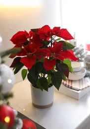 Beautiful Poinsettia on white kitchen counter. Traditional Christmas flower