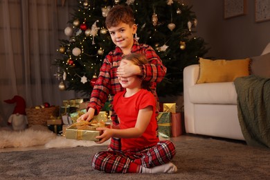 Cute little boy giving gift box to his sister near Christmas tree at home