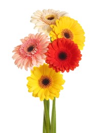Bouquet of beautiful colorful gerbera flowers on white background
