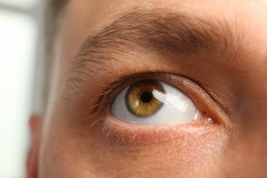Closeup view of man with beautiful eye on blurred background