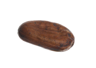 Brown raw cocoa bean isolated on white