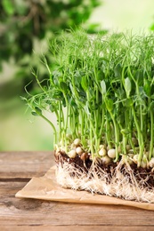 Photo of Fresh organic microgreen sprouts on wooden table