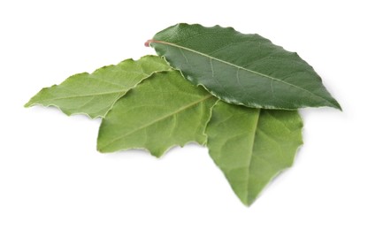 Photo of Green fresh bay leaves isolated on white