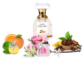Image of Bottle of perfume, flowers and spices on white background
