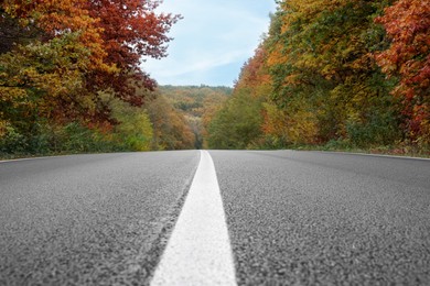 Beautiful view of asphalt highway going through autumn forest