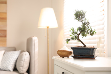 Photo of Japanese bonsai plant and oil diffuser on cabinet in living room, space for text. Creating zen atmosphere at home
