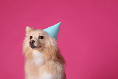 Photo of Cute dog with party hat on pink background, space for text. Birthday celebration