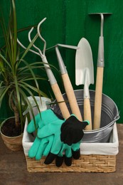 Photo of Basket with gardening gloves, tools and houseplant on table