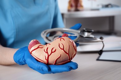 Gastroenterologist with human stomach model and stethoscope at table in clinic, closeup