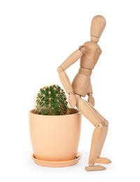 Wooden human figure and cactus on white background. Hemorrhoid problems