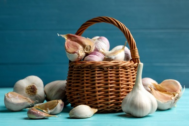 Fresh unpeeled garlic bulbs and cloves on light blue wooden table. Organic product