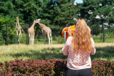 Little girl watching wild giraffes through mounted binoculars in zoo, back view