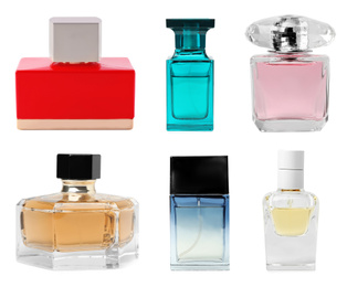 Set with different bottles of perfume on white background