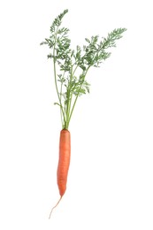 Photo of Tasty ripe juicy carrot isolated on white
