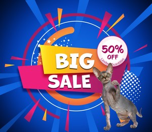 Advertising poster Pet Shop SALE. Cute cat and discount offer on blue background