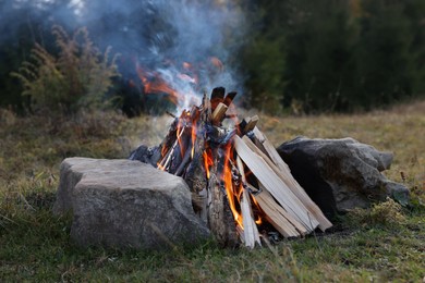 Beautiful bonfire near forest in autumn. Camping season