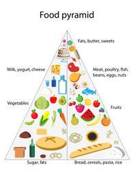 Illustration of food pyramid on white background. Nutritionist's recommendations