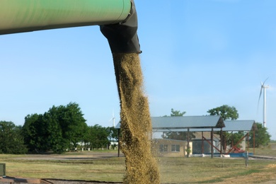 Modern combine harvester unloading wheat outdoors, closeup view of side pipe. Agriculture industry