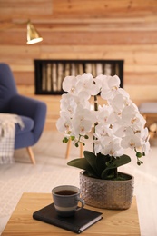 Beautiful white orchids and cup of tea on wooden table in living room. Interior design